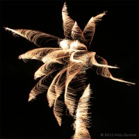 /album/light-painting/frida-dumont-canon-70d-mai-2016-img-1130-jpg/